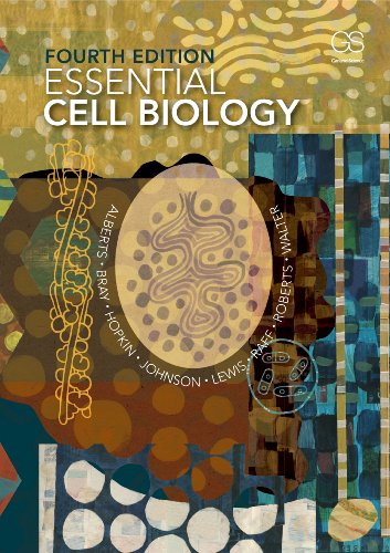 Instant Download; Test Bank for Essential Cell Biology 4th Edition By Bruce Alberts, Dennis Bray, Karen Hopkin,  Alexander Johnson, Julian Lewis, Martin Raff, Keith Roberts